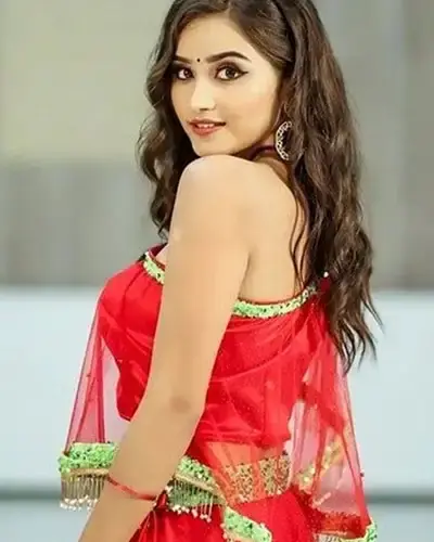 Escort In Hamirpur